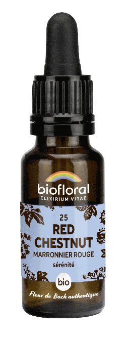 25 - Rote Rosskastanie - bio - 20 ml