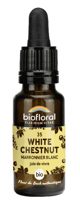 35 - White chestnut - organic - 20 ml