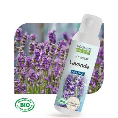 Lavande (hydrolat de) - Bio Propo's Nature