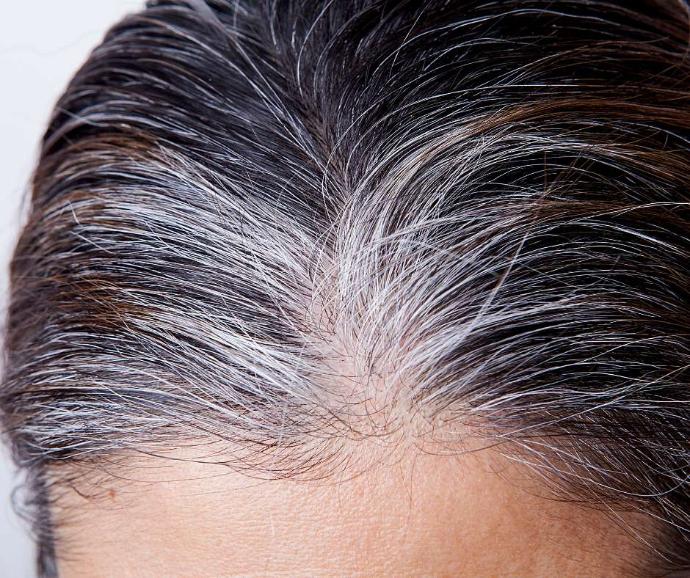 Racines blanches de cheveux de femme brune