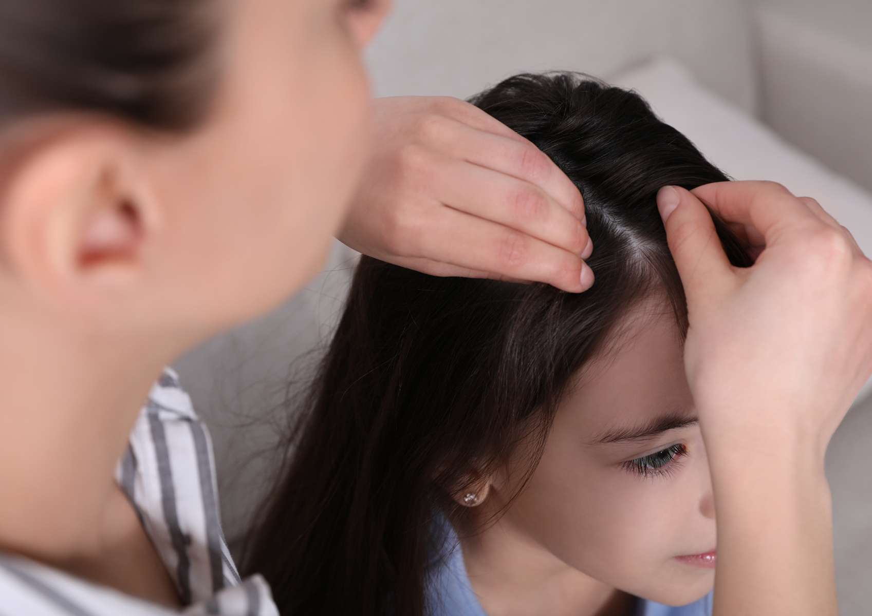 Mère qui cherche des poux dans les cheveux longs bruns de sa fille 