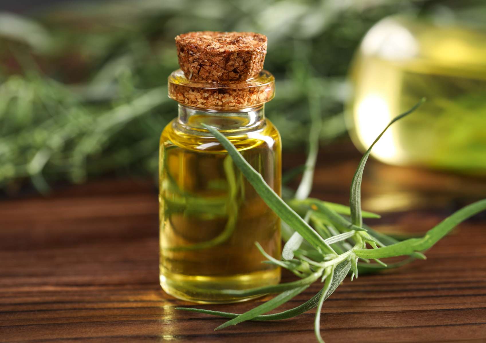 Flacon d'huile essentielle d'estragon avec une branche à côté
