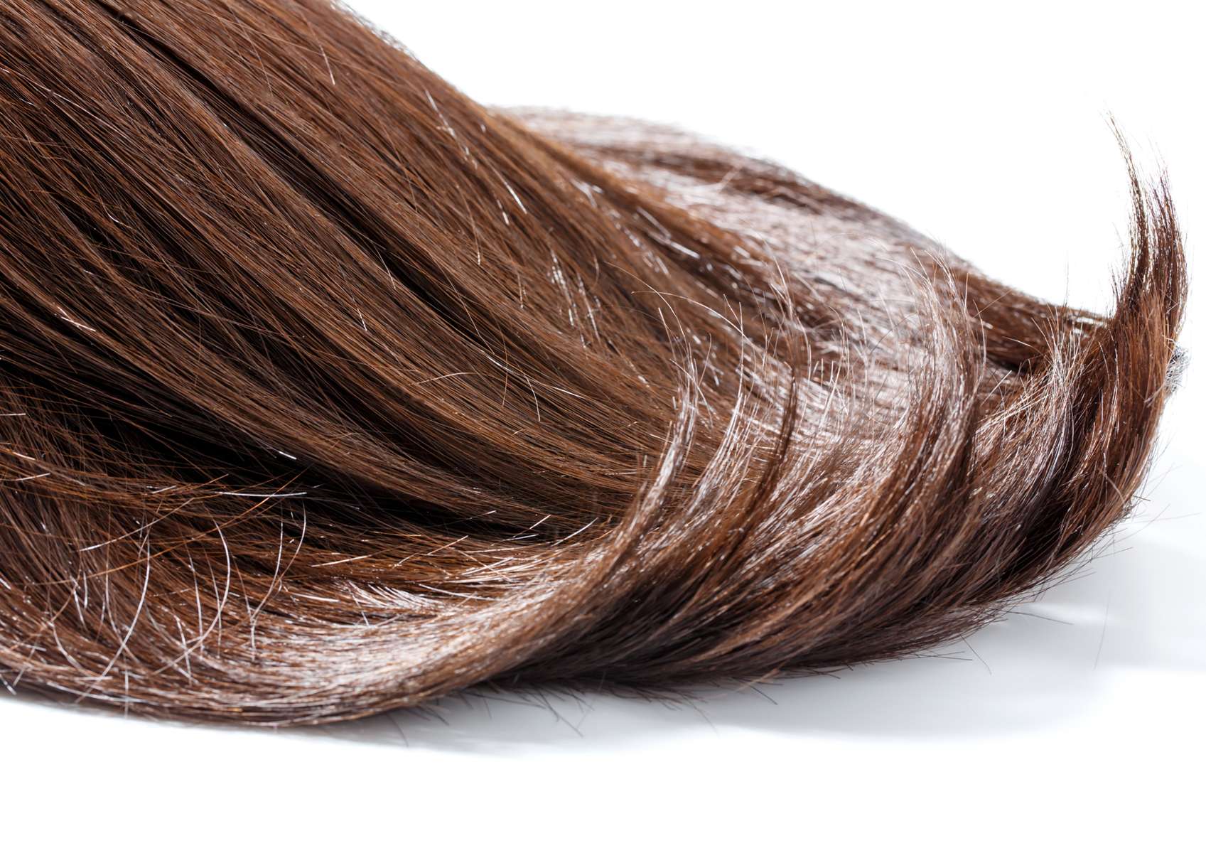 Cheveux châtains sur fond blanc