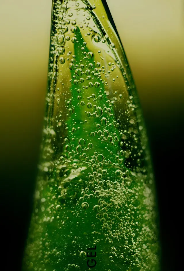 Gros plan feuille aloe vera entourée de gel