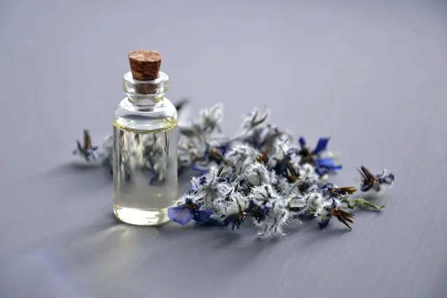 Flacon d'huile essentielle avec lavande à côté sur surface grise