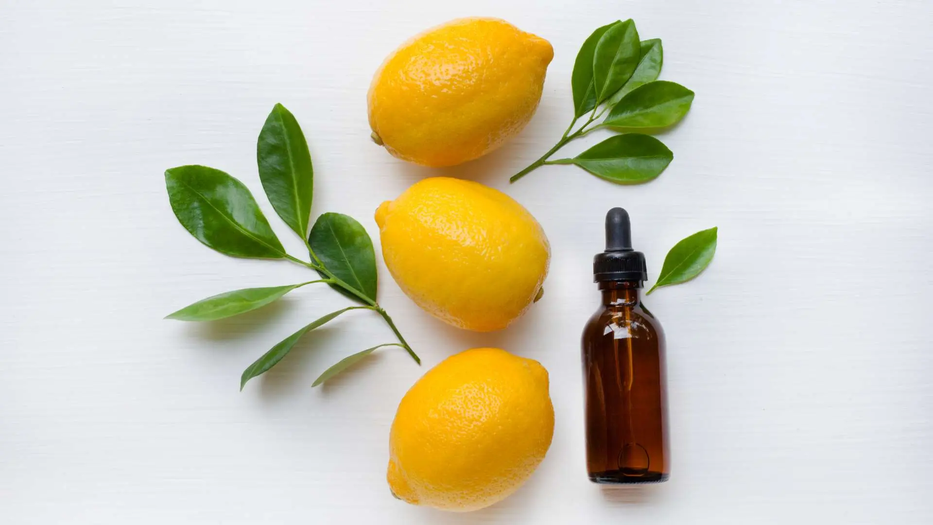 Trois citrons alignés en hauteur avec feuilles et flacon marron d'huile essentielle à côté