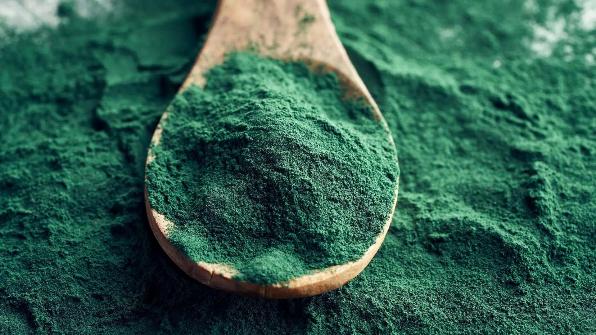 Spiruline en poudre dans cuillère en bois sur poudre verte de spiruline