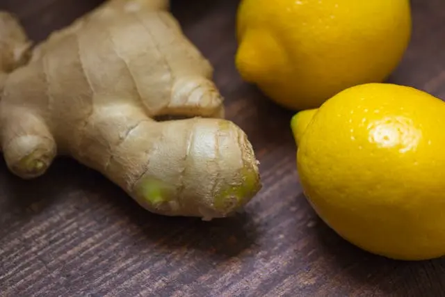 Gros plan racine de gingembre et deux citrons jaunes posés sur table en bois foncé