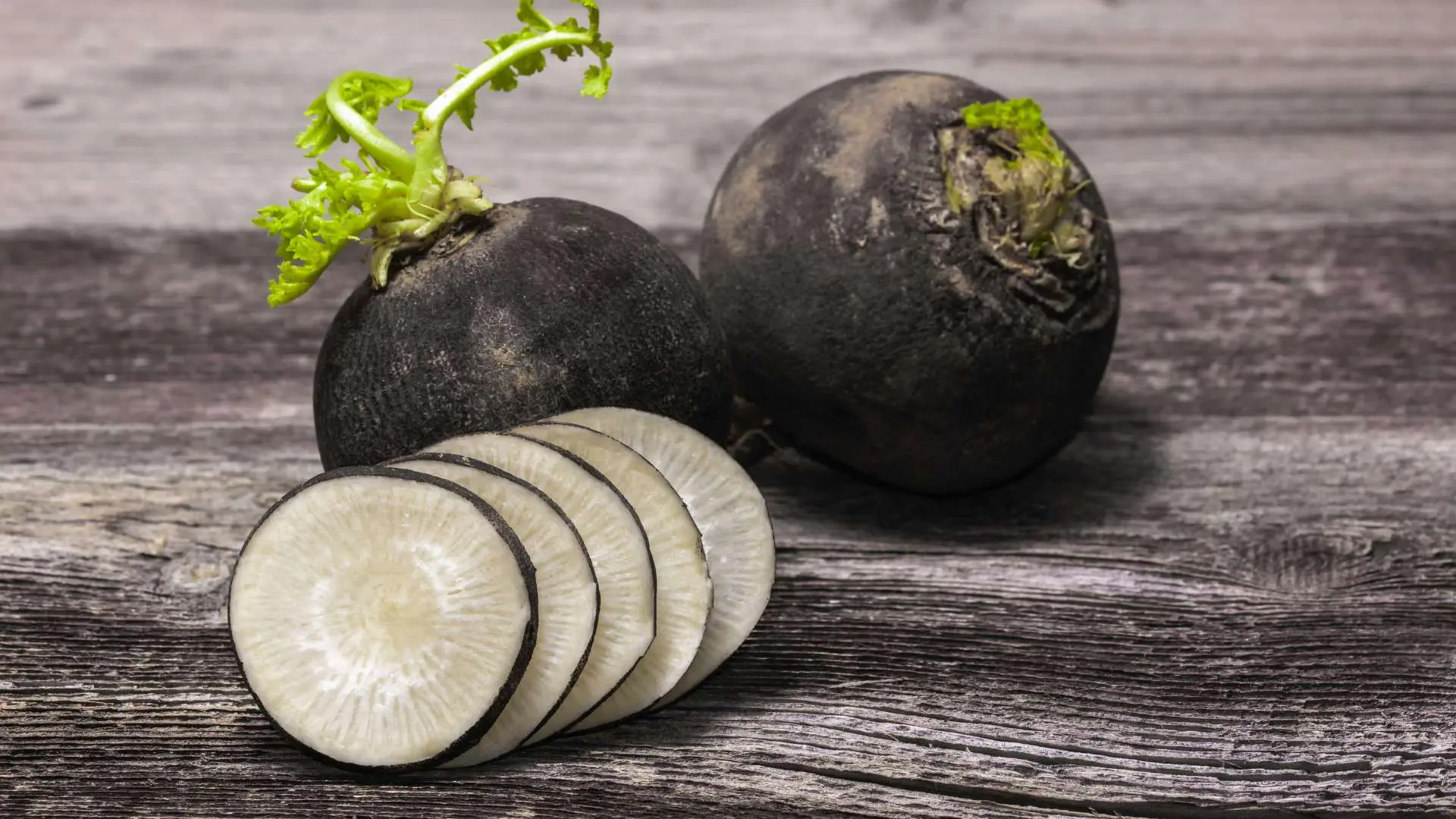 Gros plan deux radis noir ronds avec cinq rondelles devant posé sur surface en bois gris foncé