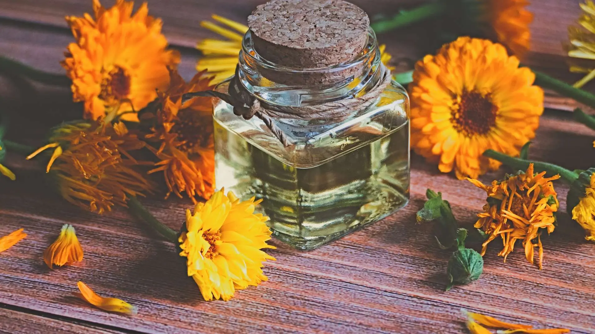 Huile de calendula avec fleurs de calendula orange à côté