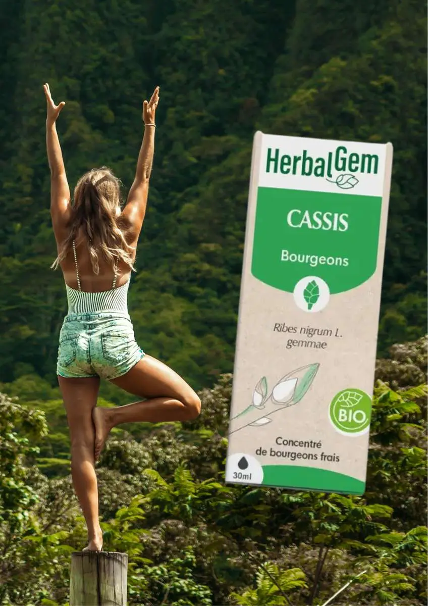 Femme en équilibre sur un rondin face à une montagne d'arbres avec bourgeon de cassis Herbalgem à côté