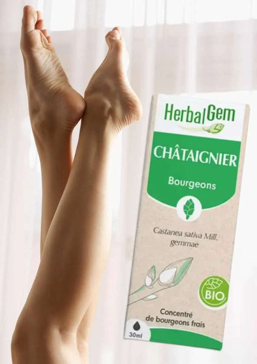 Jambes de femme en l'air avec voilages devant une fenêtre et bourgeon de châtaignier Herbalgem à côté