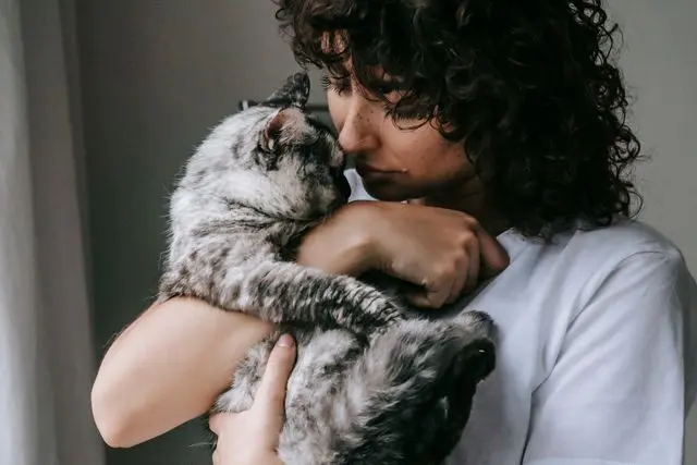 Femme aux cheveux bouclés noirs et tee-shirt blanc qui fait un câlin à un chat tigré gris