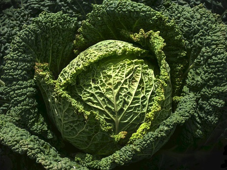 cabbage, green vegetable, vitamin k