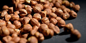 Piedmont hazelnut