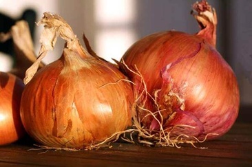 onion