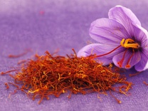 medicinal property saffron