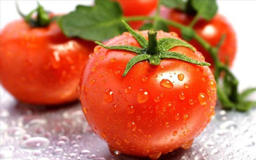 tomates fraiches