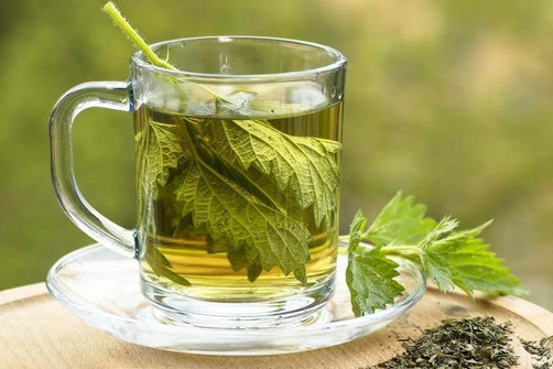 nettle tea