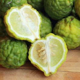 citrus bergamote