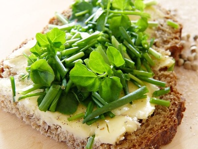 watercress