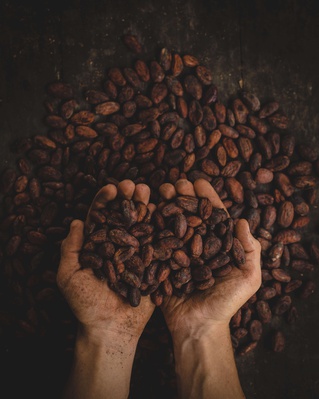 cacao