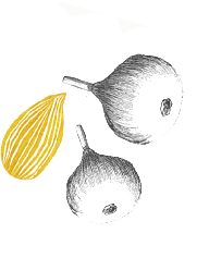 Clarico-Slider Style 8