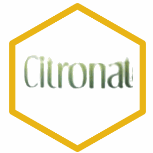 Clarico-3 Columans Stijl 1