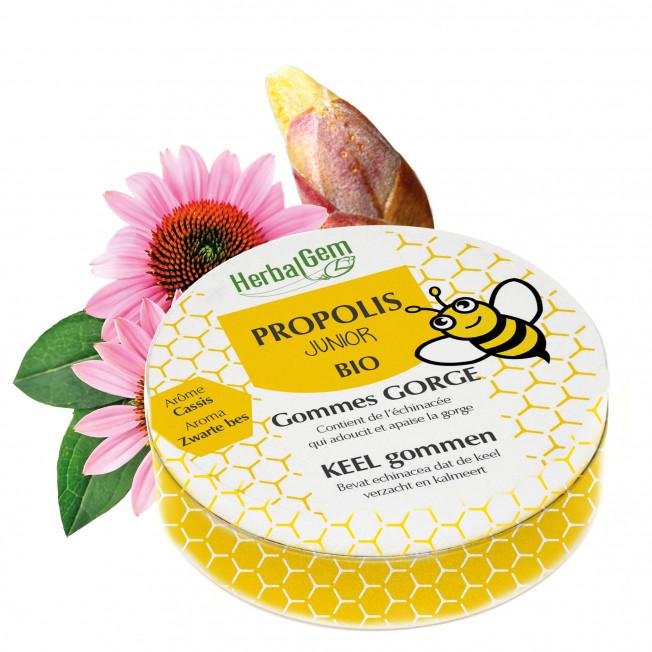 PROPOLIS JUNIOR - gommes junior -