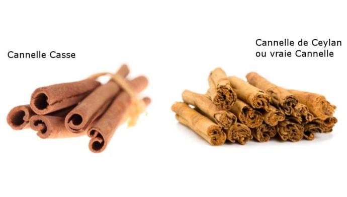 cinnamon cassia and ceylon cinnamon