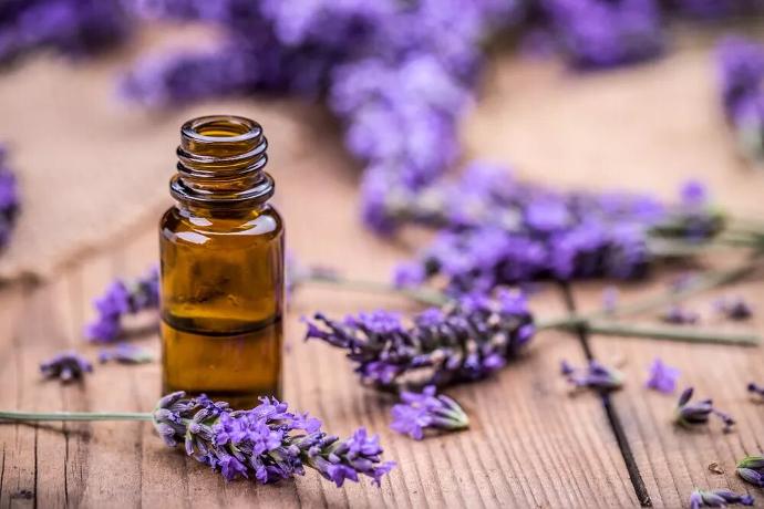 fine lavender oil