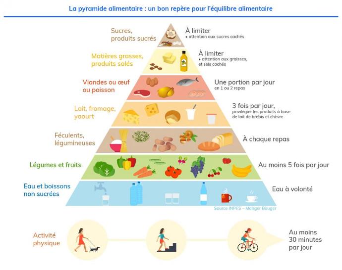 pyramide alimentaire