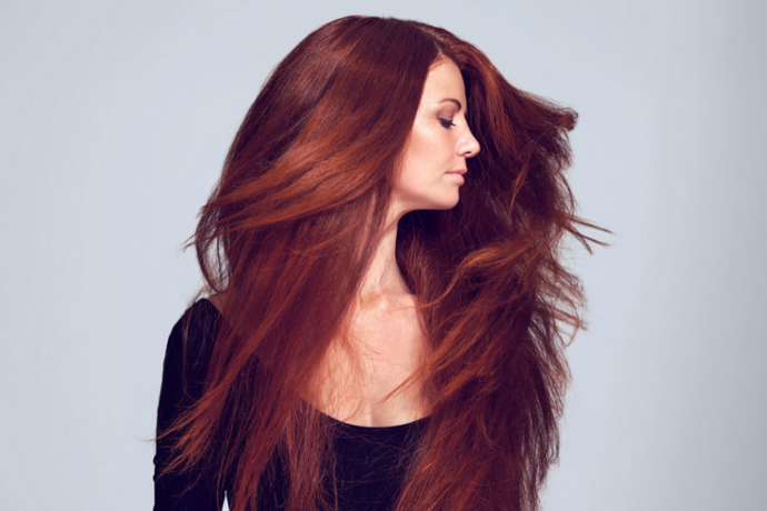 Henné color acajou - poudre | santishop