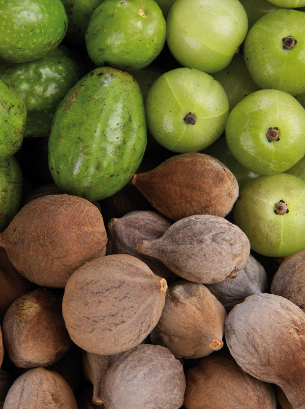 triphala