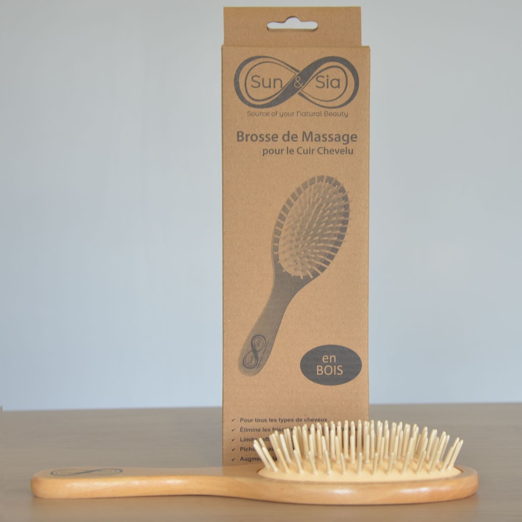 Brosse à Cheveux en bois