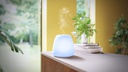 Diffuseur d'huiles essentielles multicolore Joy