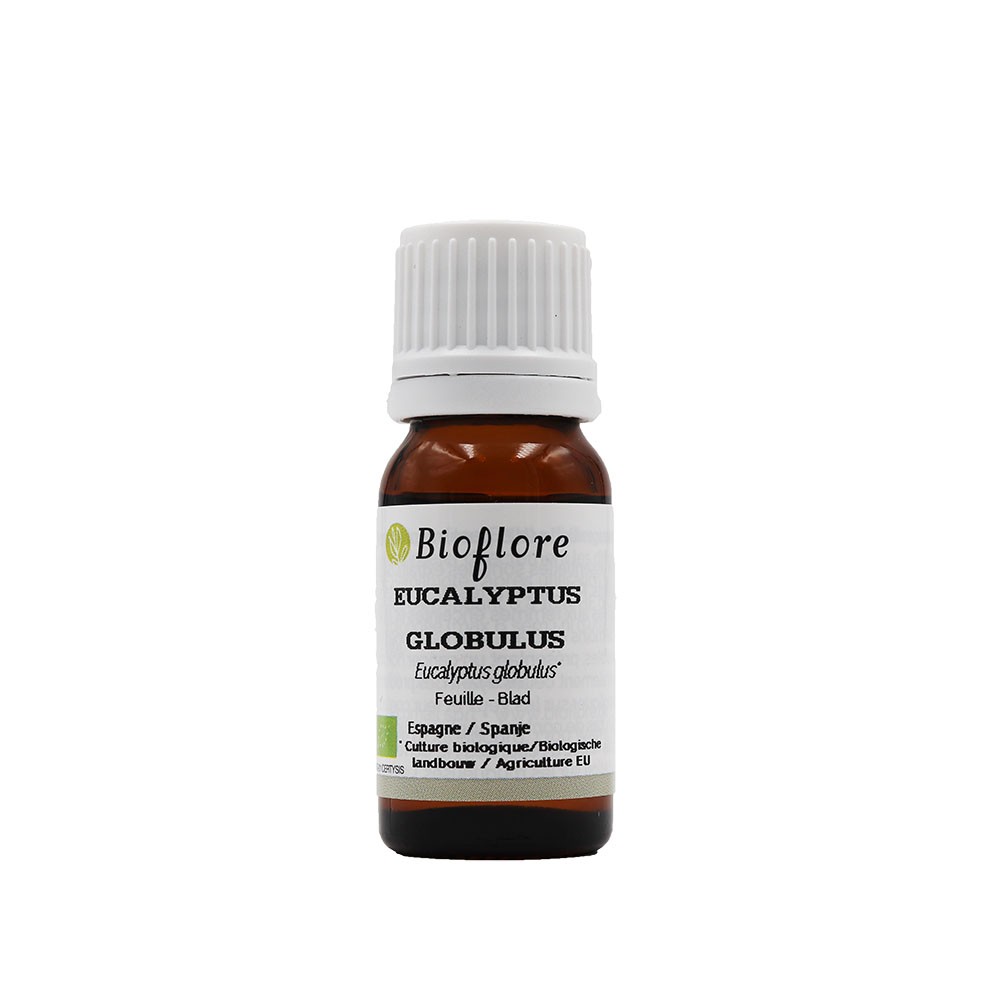 Eucalyptus globulus essential oil - organic