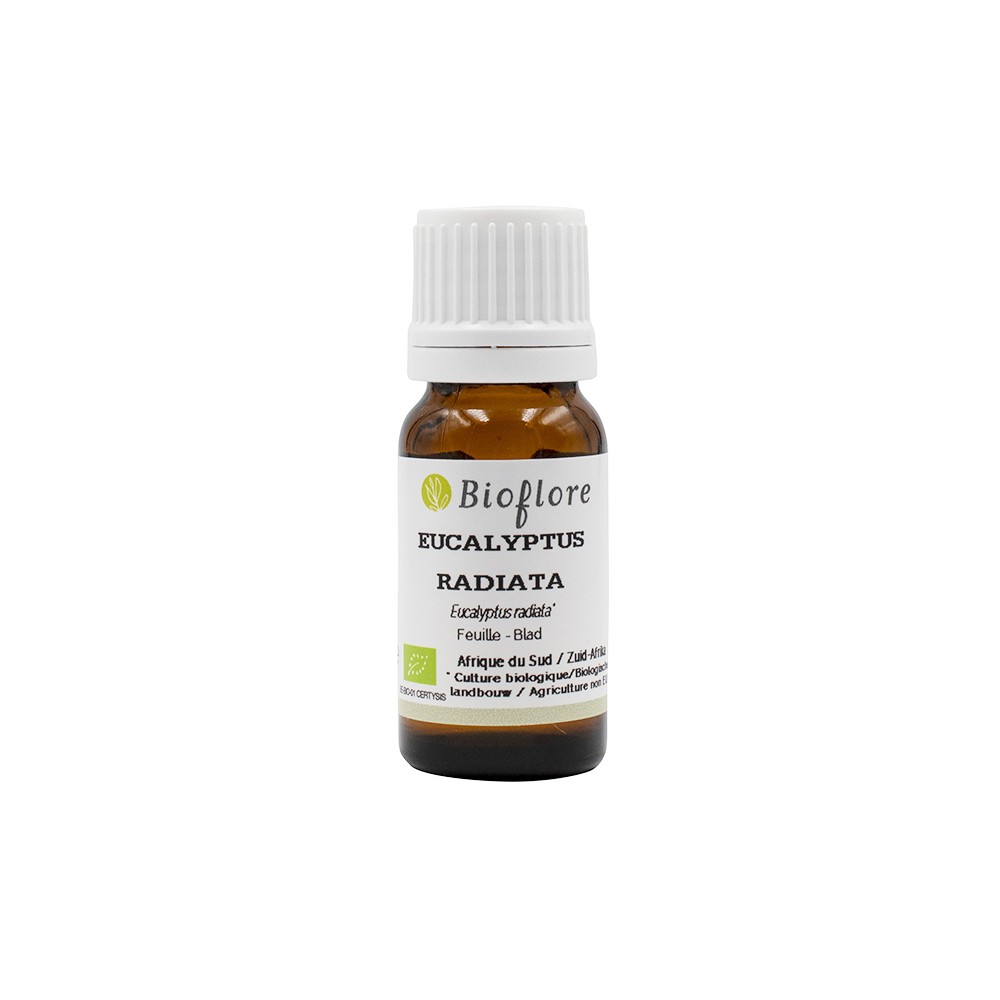 Eukalyptus radiata (ätherisches Öl) – Bio