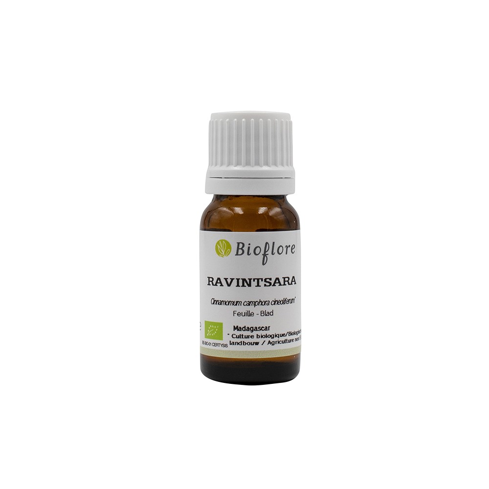 Ravintsara (essential oil) - organic