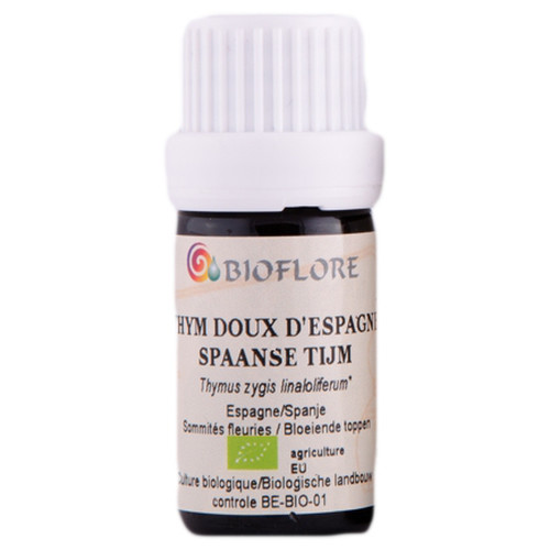 Spaanse zoete tijm - biologisch