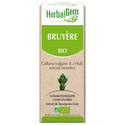 Bruyère (macérat glycériné de) - bio