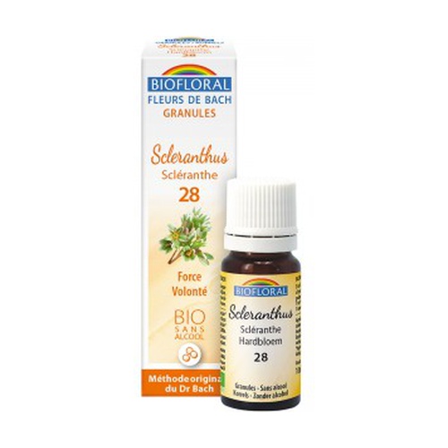 Scleranthus Bach Flower G28 - organic, alcohol-free