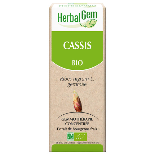Cassis (macérat glycériné de) - bio