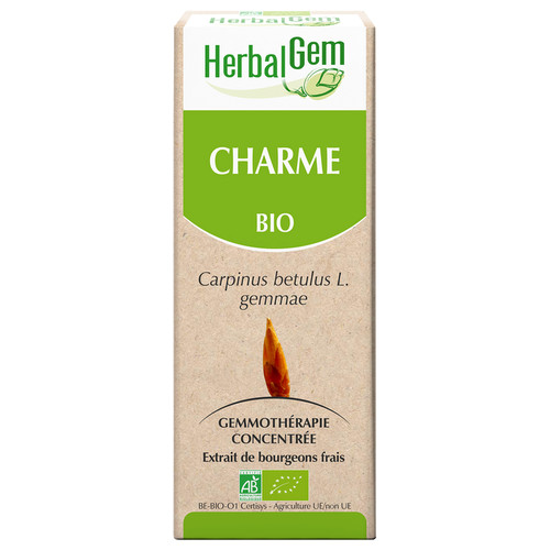 Charme (macérat glycériné d') - bio