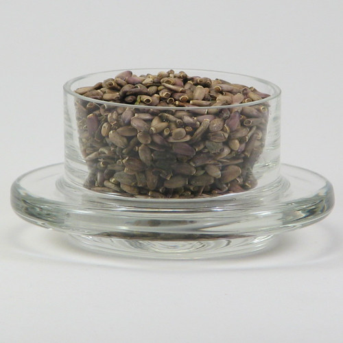 Milk Thistle seeds - organic