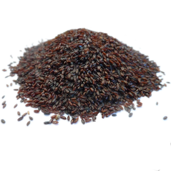 Flohsamen schwarz (plantago psyllium) - bio