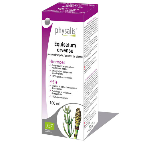 Equisetum arvense Urtinktur - Acker-Schachtelhalm - bio