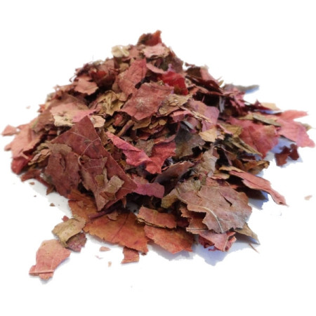 Rotes Weinlaub Blätter - bio