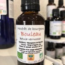 Bouleau verruqueux (macérât de bourgeon de) - Bio