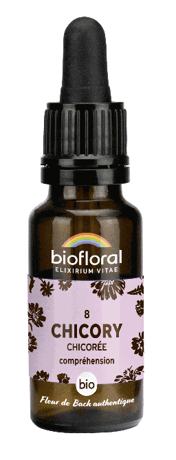 08 - Chicory - organic - 20 ml